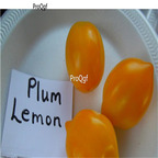 19usd Ngryise 8000Pcs A Set   Plum Lemon Tomato seed