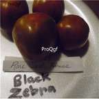19usd ngryise 8000pcs Black Zebra Tomato  seed