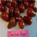 19usd ngryise 8000pcs Chocolate Pear Tomato seed