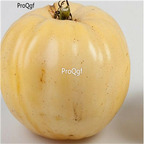 19usd ngryise 8000pcs White Wonder Beefsteak Tomato seed