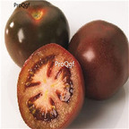 19usd Ngryise 8000Pcs A Set  Brown Tomato seed