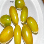 19usd ngryise 8000pcs Green Tiger Tomato  seed