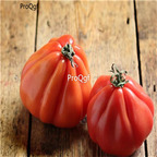 19usd ngryise 8000pcs Coeur de Boeuf Albenga Solanum Lycopersicum tomato seed