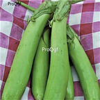 19usd Ngryise 6000Pcs A Set HARABEGAN EGGPLANT  seed