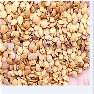 19usd Ngryise 6000Pcs A Set Korean Red Eggplant  seed