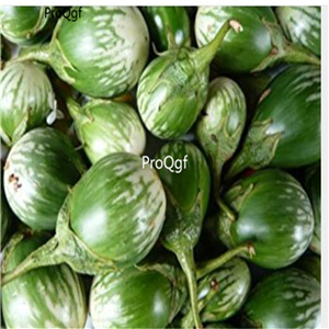 19usd Ngryise 6000Pcs A Set NON GMO Gbogname Eggplant  seed