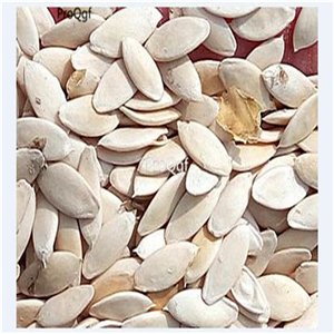 19usd Ngryise 3000Pcs A Set Kamias Bilimbi Cucumber Tree seed