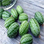19usd Ngryise 3000Pcs A Set Mexican Sour mini Gherkin Cucumber seed