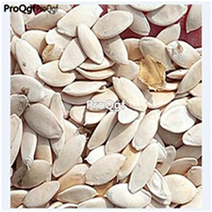 19usd Ngryise 3000Pcs A Set Gateway Hybrid Cucumber seed