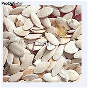 19usd Ngryise 3000Pcs A Set White Pickling Cucumber Miniature Cucumis  seed