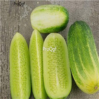 19usd Ngryise 3000Pcs A Set White Emerald Cucumber seed
