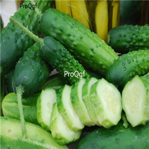 19usd ngryise 3000pcs Organic Early Fortune Cucumber  seed