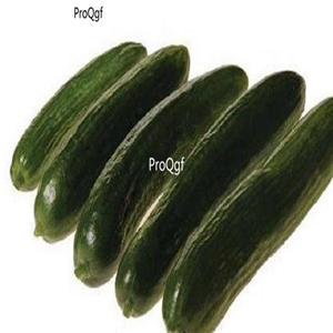 19usd ngryise 3000pcs Mercury Beit Alpha Cucumber seed