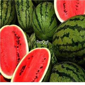 19usd Ngryise 1000Pcs A Set  Jubilee non-gmo watermelon seed