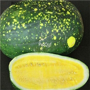 19usd Ngryise 1000Pcs A Set moon star Watermelon seed