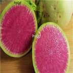 19usd Ngryise 1000Pcs A Set Radish shape Heirloom watermelon seed