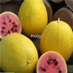 19usd Ngryise 1000Pcs A Set Golden Midget Citrullus lanatus Non-GMO watermelon seed