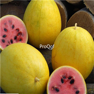 19usd Ngryise 1000Pcs A Set Golden Midget Citrullus lanatus Non-GMO watermelon seed