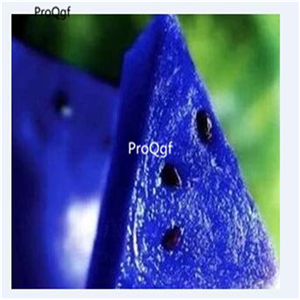 19usd Ngryise 1000Pcs A Set blue  watermelon seed