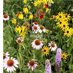 19usd Ngryise 8000Pcs A Set hot weather use wild flower mixed seed