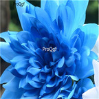 18usd Ngryise 5Pcs A Set Sky Blue Dahlia bulb