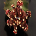 19usd Ngryise 2Pcs A Set zimudan plant