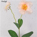 19usd Ngryise 8000Pcs A set poppyy yumeiren seed