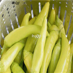 19usd Ngryise 3000Pcs A set Banana Pepper Capsicum  seed