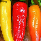 19usd Ngryise 3000Pcs A set Hungarian Hot Banana Pepper seed