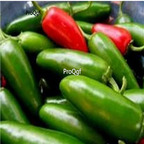 19usd ngryise 3000pcs Conchos F1 Hybrid Hot Pepper  seed