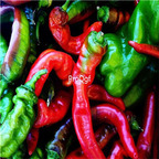 19usd Ngryise 3000Pcs A set  Jimmy Nardello Italian Pepper seed