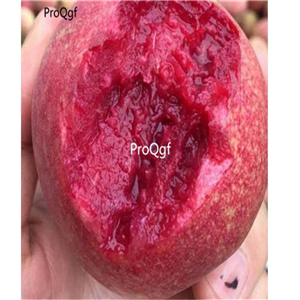 19usd Ngryise 30Pcs A set blood peach seed