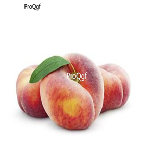 19usd Ngryise 30Pcs A set Amygdalus persica Compressa seed