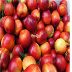19usd Ngryise 30Pcs A set Prunus persica var. nectarina seed