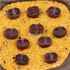 15usd Ngryise 3Pcs A set Lithops purple salicola plant