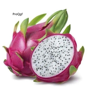29usd Ngryise 2Pcs A set huolongguo rare dragon fruit plant