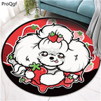 12usd kawaii Ngryise 1 set ins lovely animal fans round shape floor mat