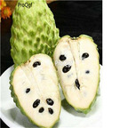 29usd Ngryise 50Pcs A Set Annona squamosa  seed
