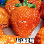 19usd Ngryise 8000Pcs A Set orange strawberry seed