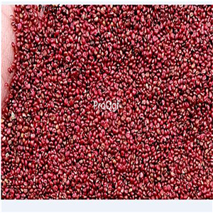 19usd Ngryise 8000Pcs A Set orange strawberry seed