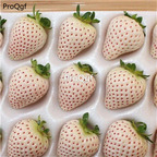 19usd Ngryise 8000Pcs A Set white strawberry seed