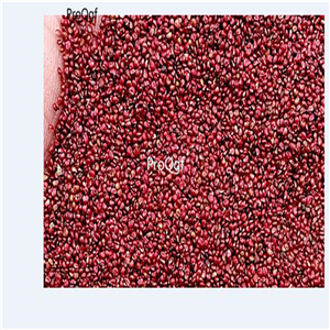 19usd Ngryise 8000Pcs A Set white strawberry seed