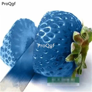 19usd Ngryise 8000Pcs A Set light blue strawberry seed