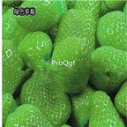 19usd Ngryise 8000Pcs A Set green strawberry seed