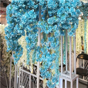 19usd Ngryise 200Pcs A Set wisteria wisteria seed