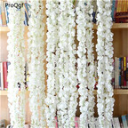 19usd Ngryise 200Pcs A Set white color wisteria wisteria seed