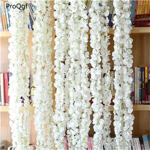 19usd Ngryise 200Pcs A Set white color wisteria wisteria seed
