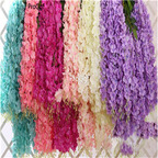 19usd Ngryise 200Pcs A Set mixed random color wisteria wisteria seed