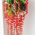 19usd Ngryise 200Pcs A Set red color wisteria wisteria seed