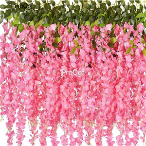 19usd Ngryise 200Pcs A Set pink color wisteria wisteria seed